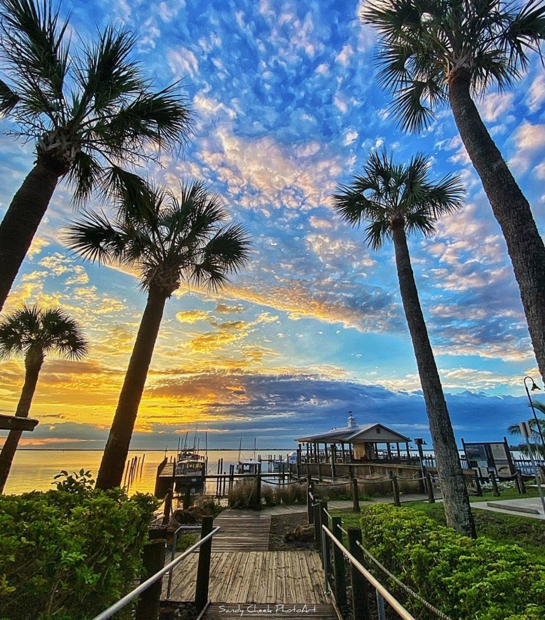 Sandy Cheek Photo Art Fishermans Landing